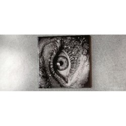 Chevalet + carrelage graver Oeil